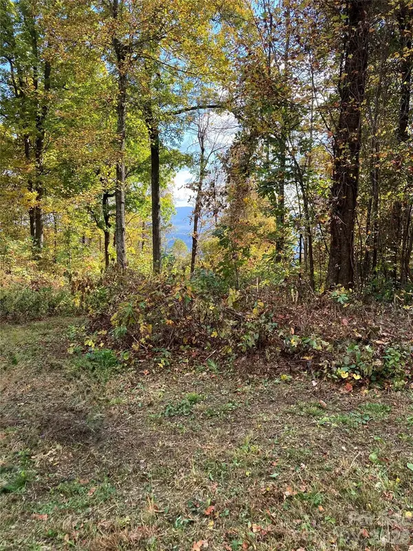 2523 Creston DR #T-24, Black Mountain, NC 28711