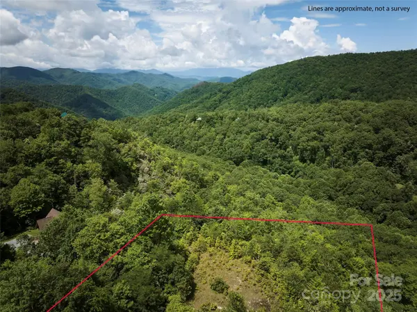 Lot 24 Piedmont WAY #24, Bryson City, NC 28713