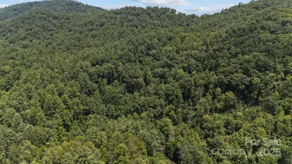 1296 Sheets Gap RD, Millers Creek, NC 28651