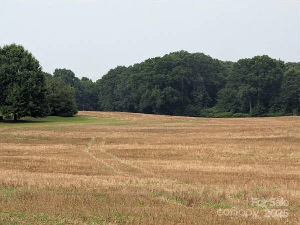 1455 Blonnie Ross RD, Polkton, NC 28135