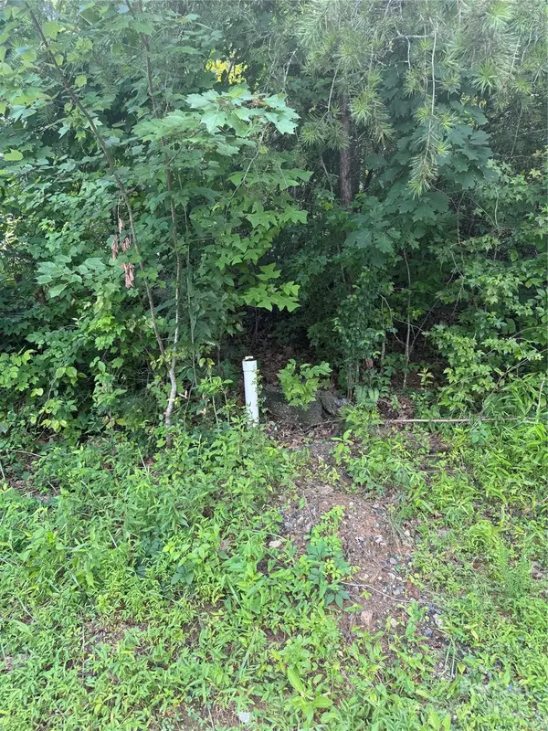 1047 Williamsburg DR, Lenoir, NC 28645