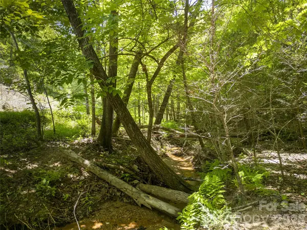 Lot322 Hawks TER, Lake Lure, NC 28746