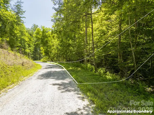 Lot322 Hawks TER, Lake Lure, NC 28746
