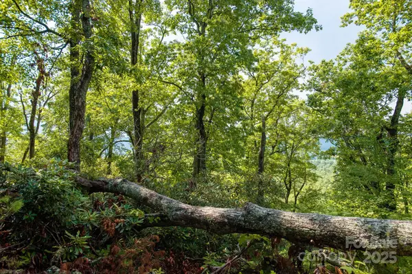 Lot # 1 Masterpiece View DR #1, Hendersonville, NC 28739