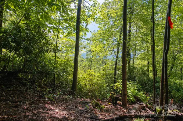 Lot # 2 Masterpiece View DR #2, Hendersonville, NC 28739