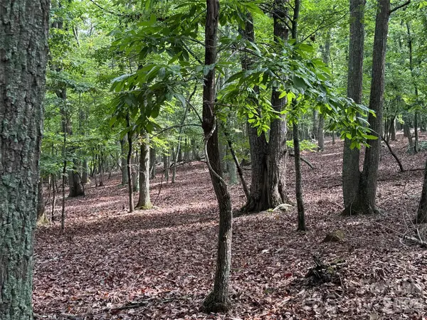 1695 Sierra Trace RD, Denton, NC 27239