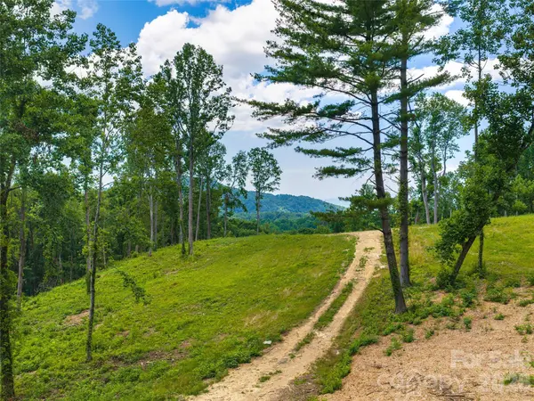 620 Dancing Bear DR #195, Hendersonville, NC 28792