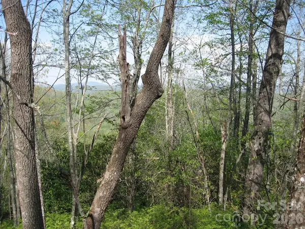 313 Line Runner Ridge RD, Rosman, NC 28772