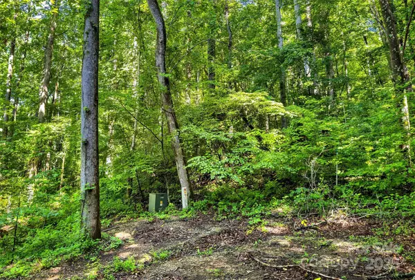 Lot #76 Hunnicut Spur RD, Marion, NC 28752