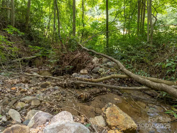000 Deep Gap Farm RD E, Mill Spring, NC 28756