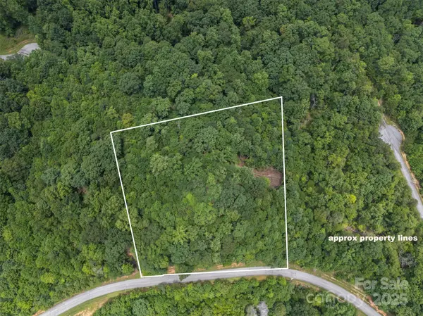 000 Deep Gap Farm RD E, Mill Spring, NC 28756
