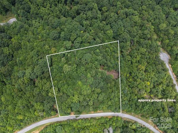 000 Deep Gap Farm RD E, Mill Spring, NC 28756