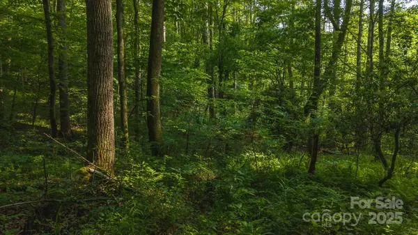 0 Brushy Mtn RD, Moravian Falls, NC 28654