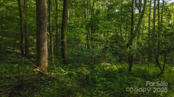 0 Brushy Mtn RD, Moravian Falls, NC 28654