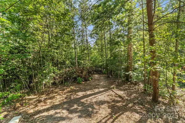V/L Horizon DR, Nebo, NC 28761