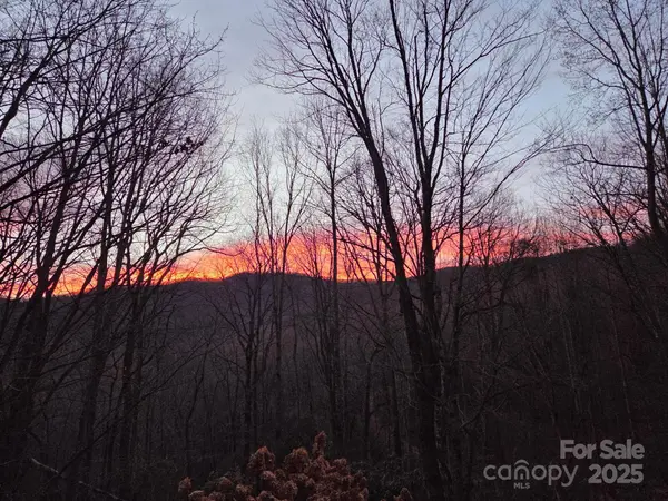50 Firefly Springs LN, Candler, NC 28715