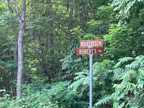00 Roberts TRL #LOT 429, Lake Lure, NC 28746