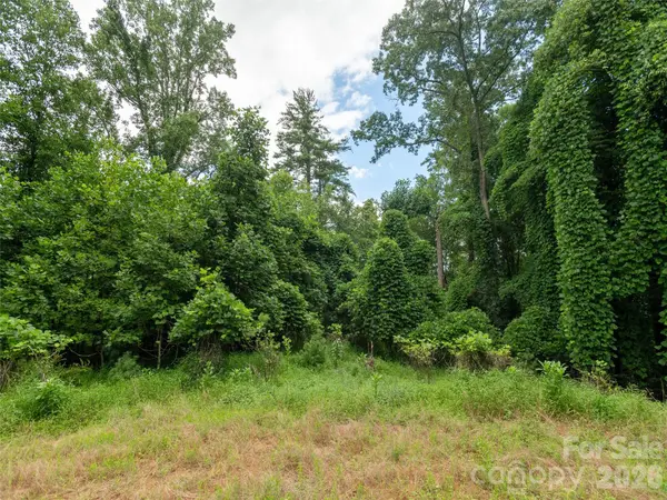 0 Willow Falls LN, Hendersonville, NC 28792