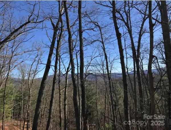 0 Saturn WAY, Topton, NC 28781