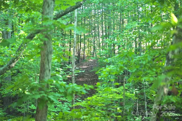 0 Parkway North None #13, Mill Spring, NC 28756