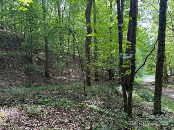 0 Cane Mountain LN, Burnsville, NC 28714