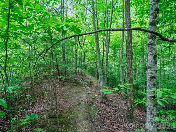 99999 Millbrae LOOP N, Hendersonville, NC 28791
