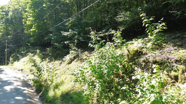 154 Raccoon RD, Beech Mountain, NC 28604