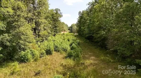 00 Blue Branch RD #Tract B, Gaffney, SC 29340