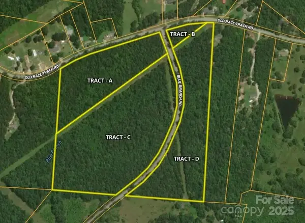 00 Blue Branch RD #Tract B, Gaffney, SC 29340