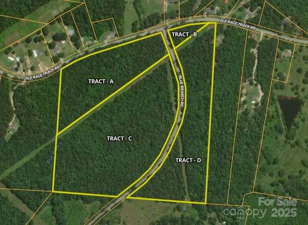 00 Blue Branch RD #Tract B, Gaffney, SC 29340