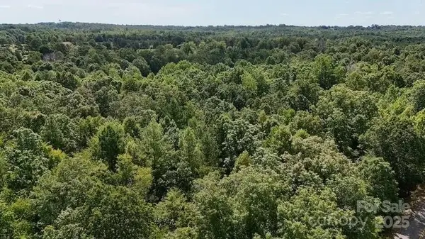 00 Blue Branch RD #Tract C, Gaffney, SC 29340