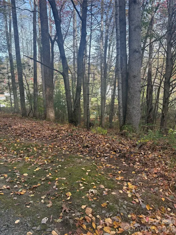 BL-A Club House CT #BL-A, Brevard, NC 28712