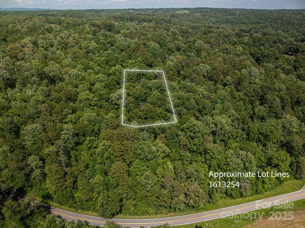 Lot 166 Plantation DR, Rutherfordton, NC 28139