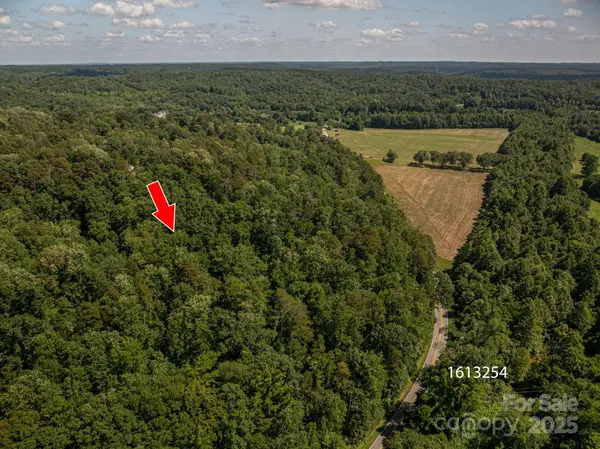 Lot 166 Plantation DR, Rutherfordton, NC 28139