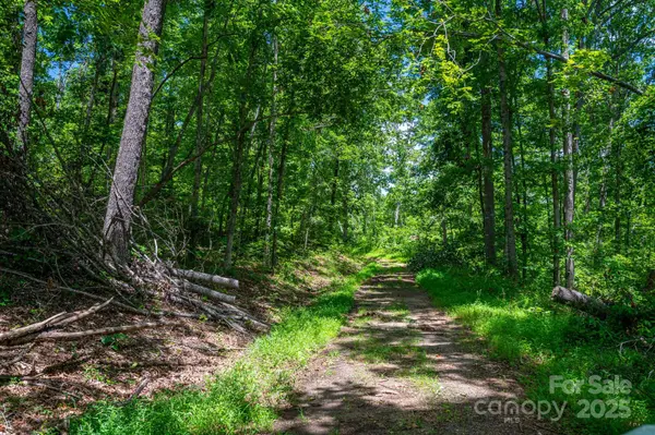 Lot 210 Plantation DR, Rutherfordton, NC 28139