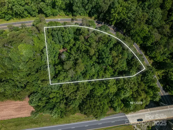 Lot 3 Cleghorn Mill RD, Rutherfordton, NC 28139