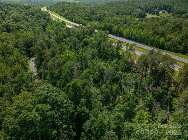 Lot 2 Cleghorn Mill RD, Rutherfordton, NC 28139