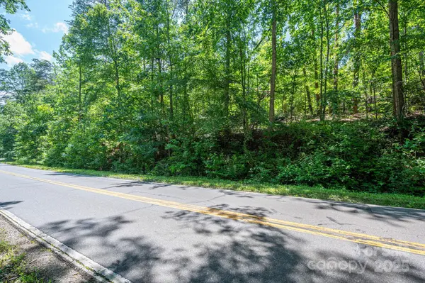 Lot 1 Cleghorn Mill RD, Rutherfordton, NC 28139