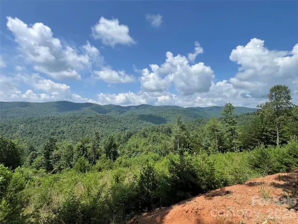 TBD Lazy Bear LN, Purlear, NC 28665
