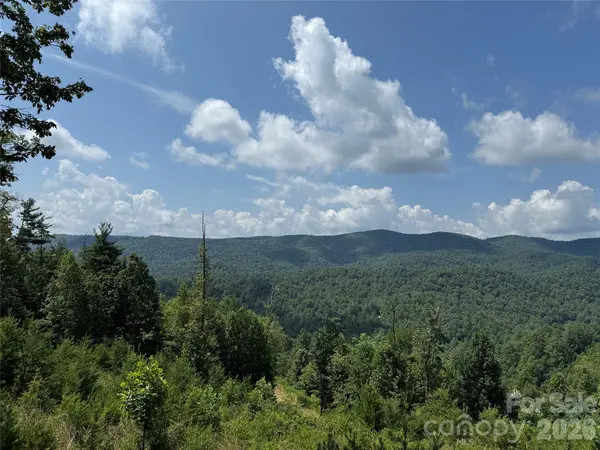 TBD Lazy Bear LN, Purlear, NC 28665