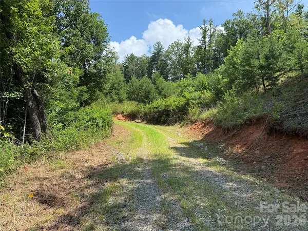 TBD Lazy Bear LN, Purlear, NC 28665