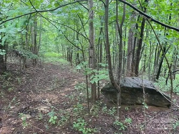 00 Cherry Hill ST, Mill Spring, NC 28756
