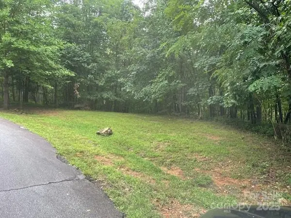 00 Cherry Hill ST, Mill Spring, NC 28756