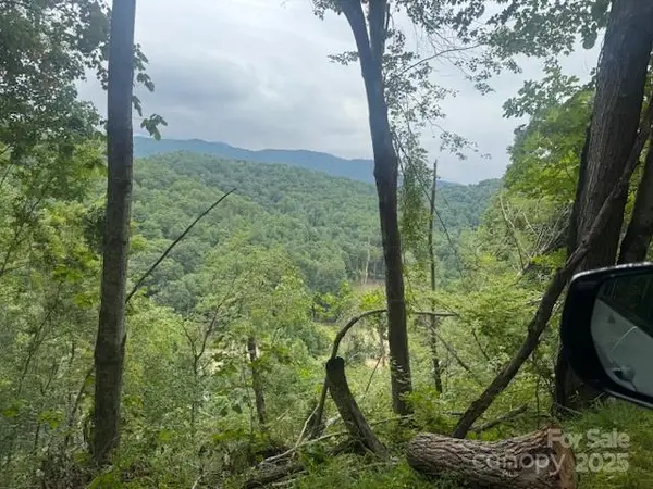 000 N Satellite Mountain RD N, Burnsville, NC 28714