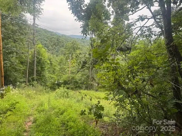 000 N Satellite Mountain RD N, Burnsville, NC 28714