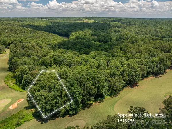 Lot 219 Plantation DR, Rutherfordton, NC 28139
