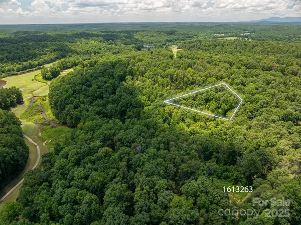 Lot 214 Plantation DR, Rutherfordton, NC 28139