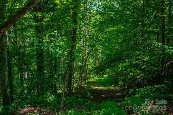 LOT 168 Plantation DR, Rutherfordton, NC 28139