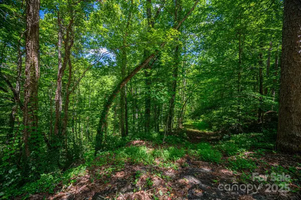 LOT 168 Plantation DR, Rutherfordton, NC 28139