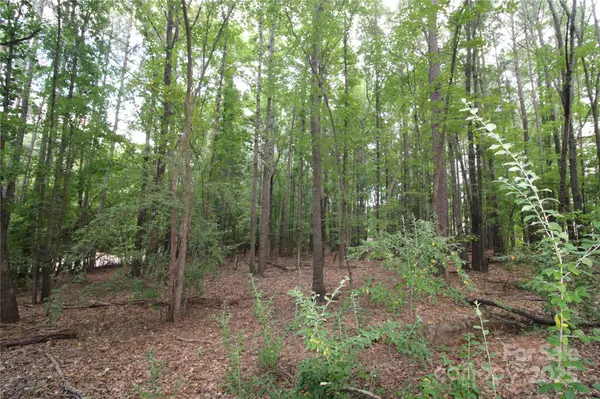 Lot 2 Lake Wylie DR, Rock Hill, SC 29732